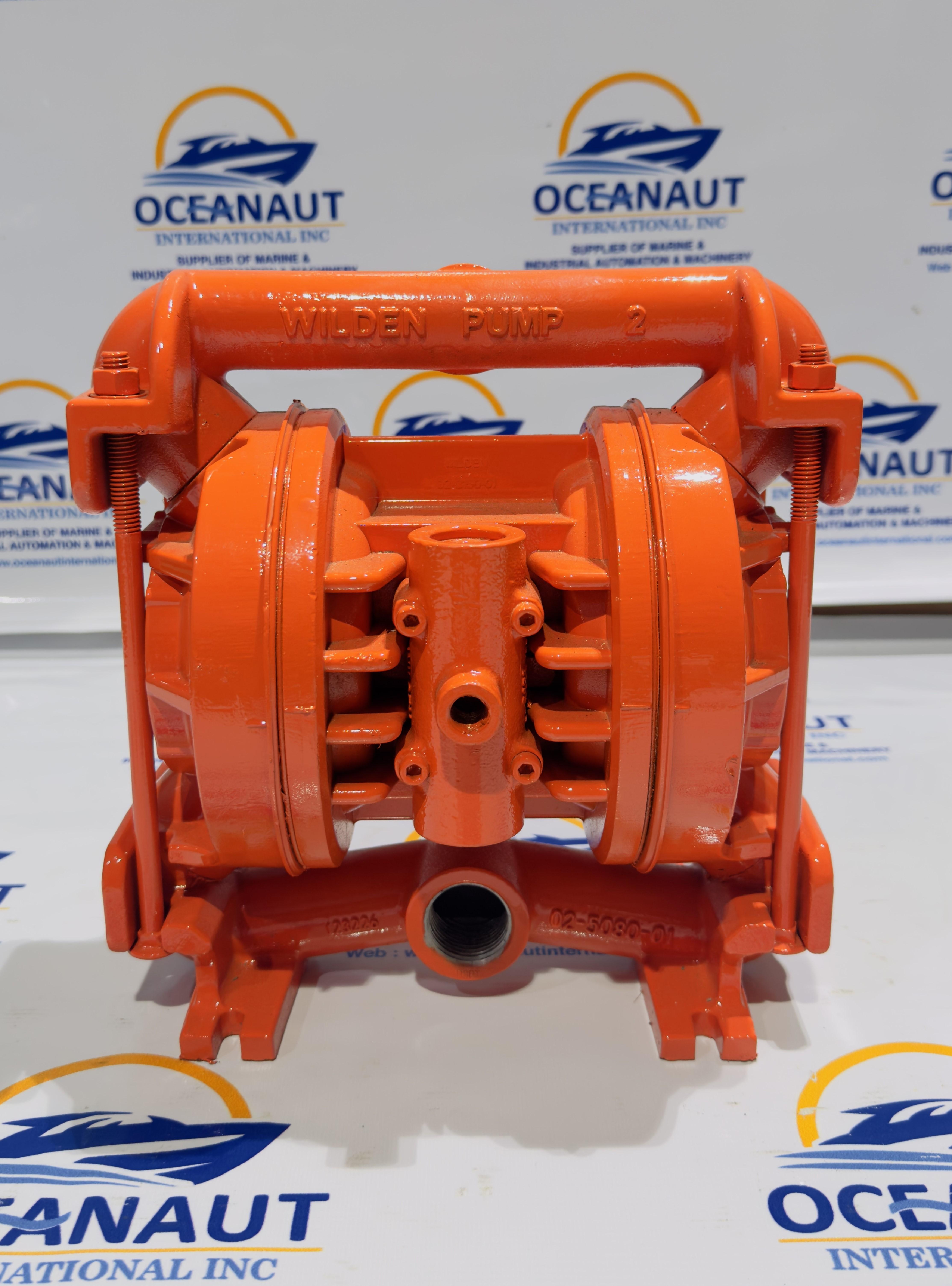 Wilden 1? / 25 mm T2 – AODD (Air Operated Double Diaphragm) Metal Pump .